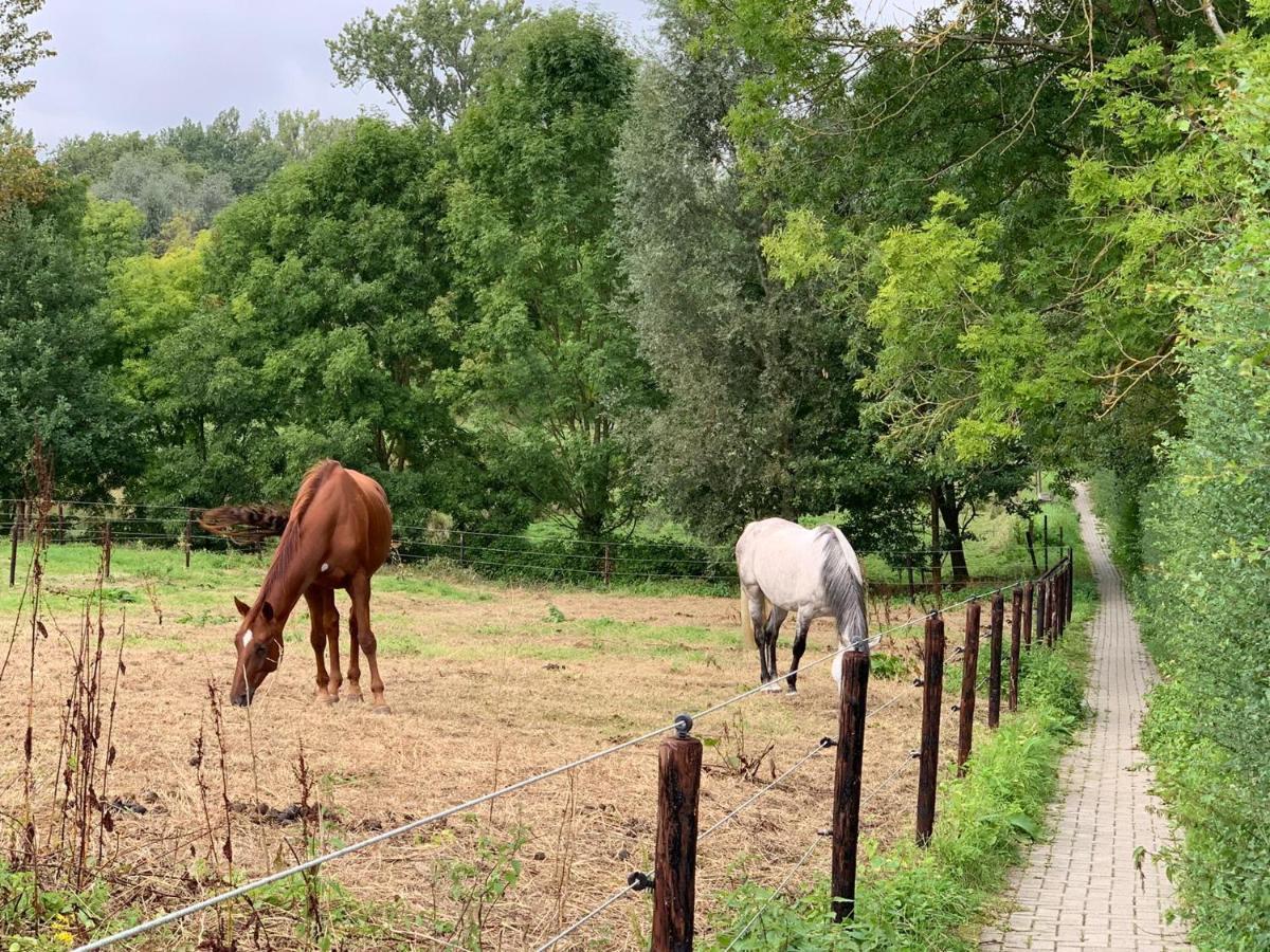Scheldewegel Vakantiehuis Schelderode Εξωτερικό φωτογραφία